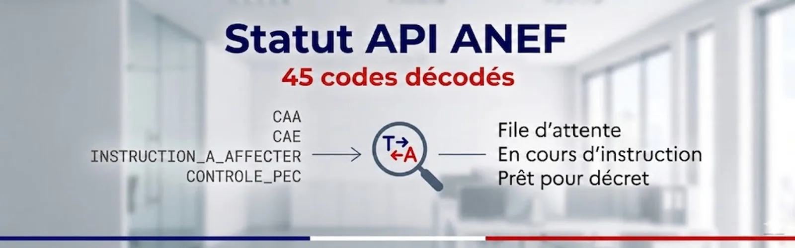 Statut API ANEF : les 45 codes officiels décodés en français simple