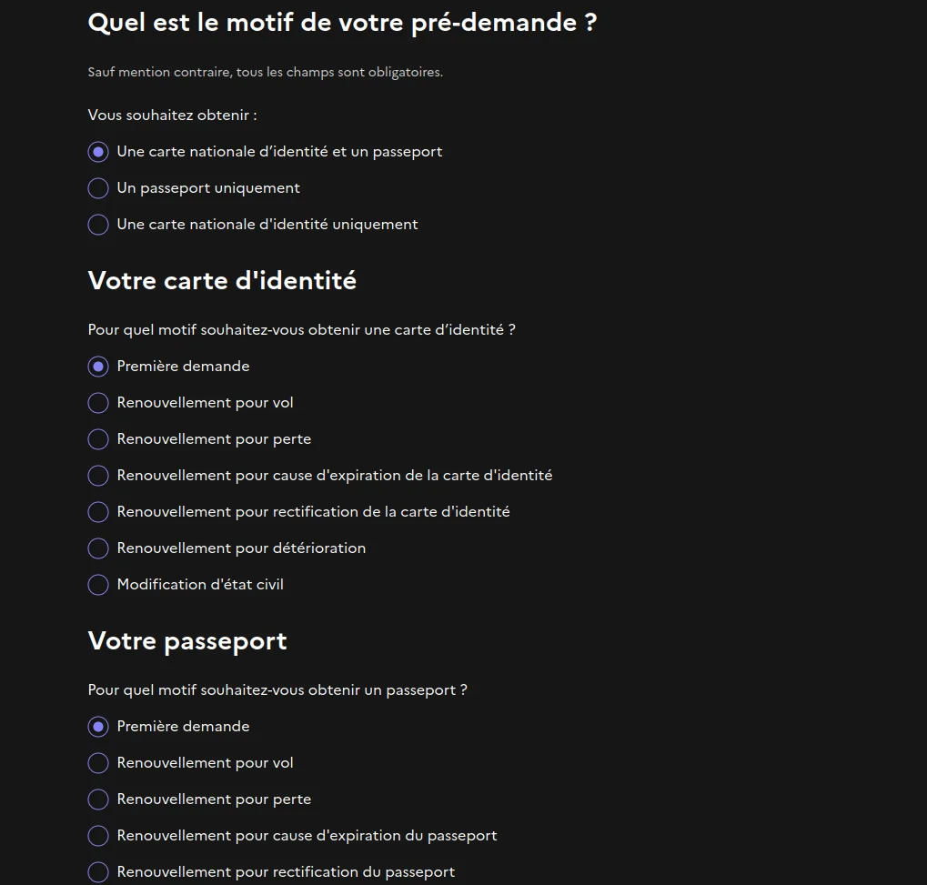 Écran de motif avec carte nationale d'identité et passeport sélectionnés et première demande cochée pour les deux titres
